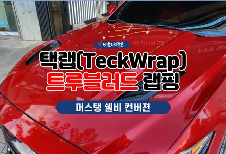 경기남부 시흥 머스탱 쉘비 컨버젼 택랩 트루블러드 랩핑 시공(TeckWrap) / 시흥시 월곶동