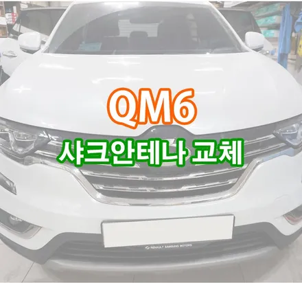 [QM6] 순정 샤크안테나 교체 / 경기 김포