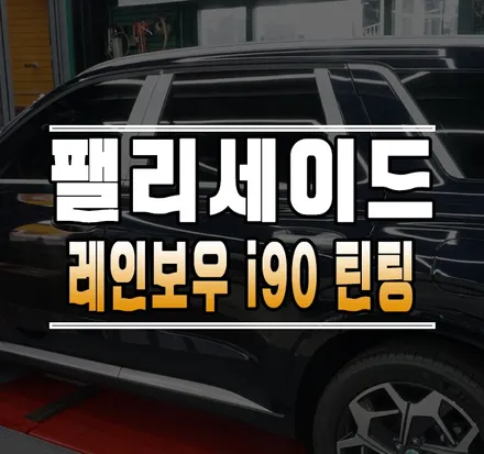 [팰리세이드] 신차 틴팅 썬팅 \