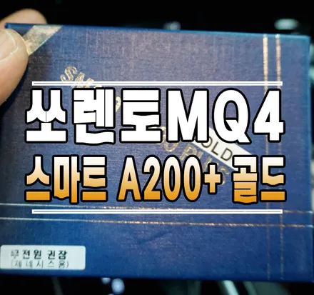 [쏘렌토MQ4] 스마트 A200 플러스 골드 \