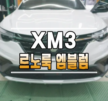 [XM3] 르노룩 아르카나 엠블럼 교체 시공 // 케이엔오토웍스 김포 / 김포,일산,고양