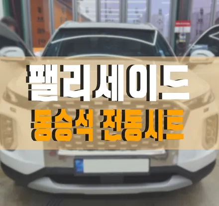 [팰리세이드] 동승석(조수석) 전동시트와 워크인 디바이스 스위치 작업 김포 / 현대 / 팰리세이드 / 김포,일산,고양