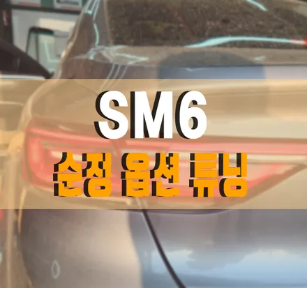 [SM6]  순정 DRL 데이라이트 활성화 / LED 포그램프 / LED 테일램프 교체 작업 김포 / 르노 / SM6 / 김포,일산,고양