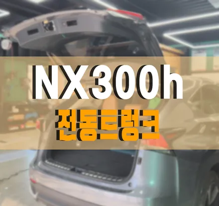 고장난 전동트렁크 새 제품으로 / 렉서스 / NX300h / 김포,일산,고양