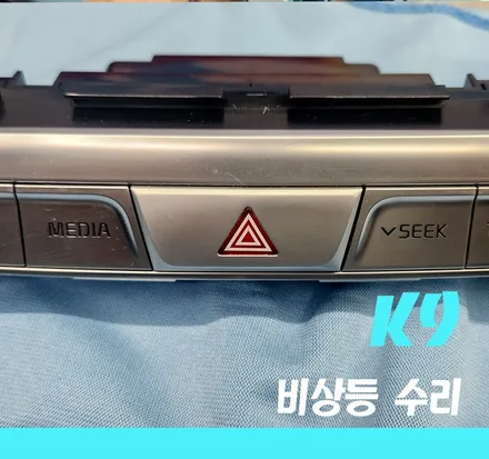 《김포/K9》 먹통되어버린 비상등 스위치 수리로 해결! / 경기 김포