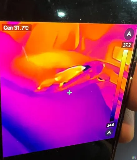 W222 S450, S450시트누설, W222시트에어빠짐, W222센터콘솔뜨거워짐, S450 히터밸브, 히터밸브, 준피티드, 에어서스, 에어쇼바 / 화성 병점 진안동