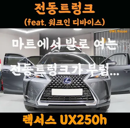 렉서스 UX250h 전동트렁크 그리고 워크인 디바이스 (마트에서 발로 여는 트렁크가 부럽습니다 ㅜㅜ) / 부산, 기장, 양산