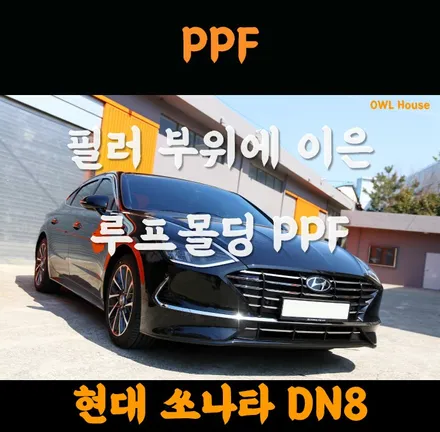 현대 쏘나타 DN8 루프몰딩 PPF (하이그로시에 스크래치는 차주에게 스트레쓰!!) / 부산, 기장, 양산
