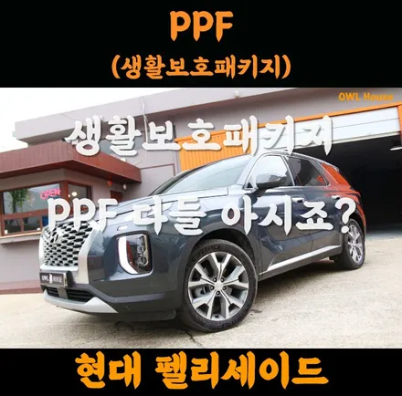 현대 펠리세이드 정관 PPF (생활보호패키지 세트 아시죠!?) / 부산, 기장, 양산
