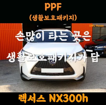 렉서스 NX300h 생활보호패키지 PPF 시공 (손많이 타는곳은 대패 말고 생패..ㅋㅋ) / 부산, 기장, 양산
