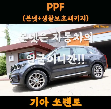 기아 쏘렌토 MQ4 본넷 그리고 생활보호패키지 PPF 시공 (차 샀는데 PPF 얼마나 할지 고민된다면..) / 부산, 기장, 양산