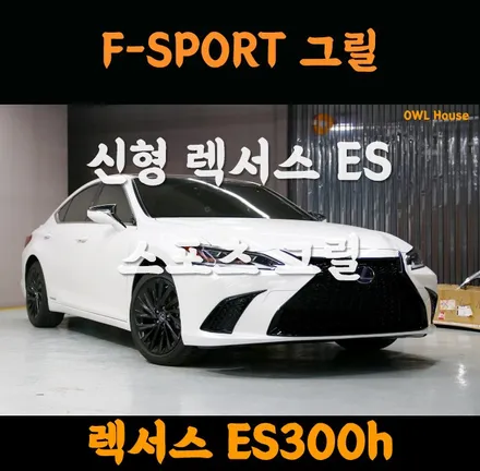 렉서스 신형 ES300h F-SPORT 그릴 장착 (7세대 ES에도 스포츠그릴이 이쁘네요) / 부산, 기장, 양산