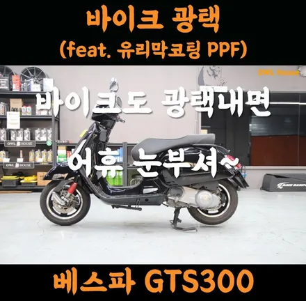 베스파 GTS300 부산 바이크광택 (유리막코팅은 덤으로~ 부분 PPF 까지~!) / 부산, 기장, 양산