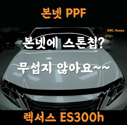 렉서스 ES300h 본넷 라이트 PPF (돌빵? 스톤칩? 두렵지 않아요~!) / 부산, 기장, 양산