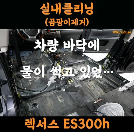 렉서스 ES300h 특수 실내클리닝 곰팡이제거 (세차 아니고 클리닝 작업이요!!) / 부산, 기장, 양산