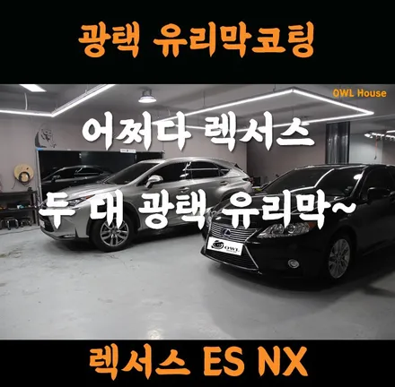 렉서스 NX ES 광택 유리막코팅 (어쩌다 렉서스차량 2대가 입고되었네요..) / 부산, 기장, 양산