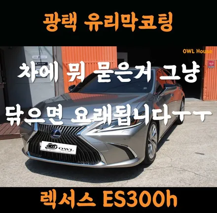 렉서스 ES300h 정관 광택 유리막코팅 (차에 뭐 묻었다고 그냥 닦으면 큰일나유~~) / 부산, 기장, 양산