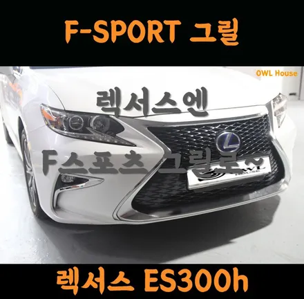 렉서스 ES300h F-SPORT 그릴 교체 (차량 그릴 교체만으로 인상이 바뀝니다) / 부산, 기장, 양산