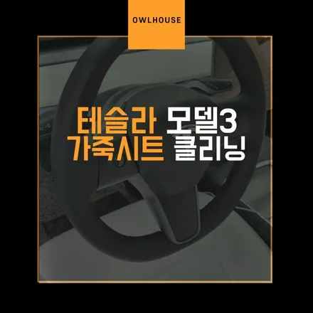 테슬라 모델3 가죽시트 크리닝 (흰색시트는 주기적 관리가 필요합니다~!) / 부산, 기장, 양산