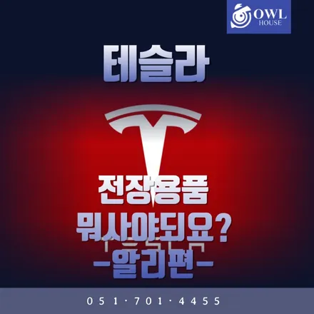 테슬라 전장용품 뭐 사야되요? (알리익스프레스 직구편) / 부산, 기장, 양산