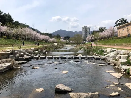 마세라티 기블리 앞범퍼 PPF (사고수리 이후 재시공 받으셨답니다.) / 부산, 기장, 양산