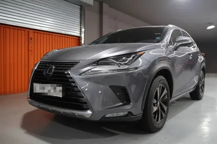 렉서스 NX300h 도어트림 복원 (실내복원 맡겨만 주이소~) / 부산, 기장, 양산