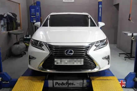 렉서스 ES300h F-SPORT 그릴 교체 (차량 그릴 교체만으로 인상이 바뀝니다) / 부산, 기장, 양산