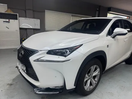렉서스 NX300h 애프터마켓 어라운드뷰 카메라 교체 및 공차보정 (사제 어라운드뷰 부분수리도 가능합니다) / 부산, 기장, 양산