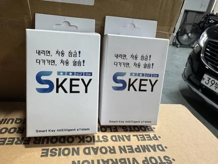 근접도어모듈 워크어웨이락 에스키 시공 (현대 캐스퍼와 카니발까지..) / 부산, 기장, 양산