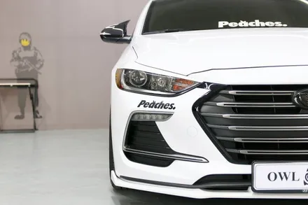 아반떼 AD 카본 PPF 그리고 포인트랩핑 (카본 본넷 St PPF로 일타쌍피 하세요~) / 부산, 기장, 양산