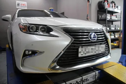 렉서스 ES300h F-SPORT 그릴 교체 (차량 그릴 교체만으로 인상이 바뀝니다) / 부산, 기장, 양산