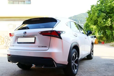 렉서스 NX300h 생활보호패키지 PPF 시공 (손많이 타는곳은 대패 말고 생패..ㅋㅋ) / 부산, 기장, 양산