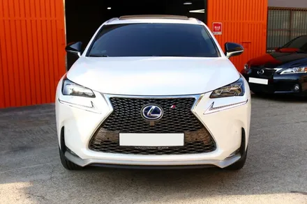 렉서스 NX300h 생활보호패키지 PPF 시공 (손많이 타는곳은 대패 말고 생패..ㅋㅋ) / 부산, 기장, 양산