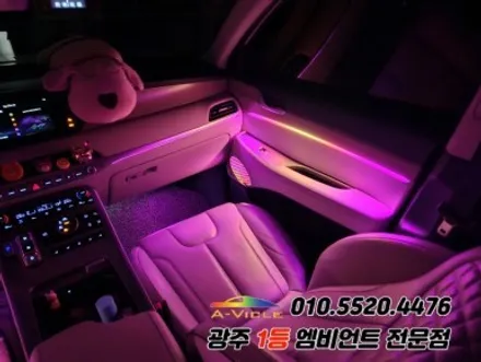 팰리세이드 광주 엠비언트 깜빡이 스텔스 순정연동 까지 다되네~! / 광주,나주,순천