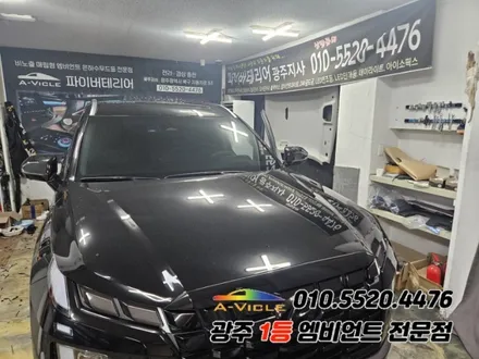 더뉴 팰리세이드 광주 엠비언트 후진off 순정활성화! 에이비클! / 광주,나주,순천