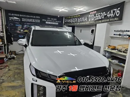 더뉴팰리세이드 광주 엠비언트 스텔스 후진off 에이비클 v4 시공! / 광주,나주,순천