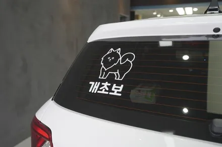 베뉴 어라운드뷰 - 주차를 30분동안 하신다면 필수..!!