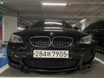 [E60 M5] 겨울잠... / 고양, 일산, 김포, 파주