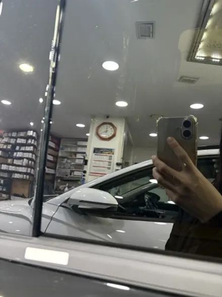 팰리세이드 LX3 버텍스900 필름 썬팅 시공 리뷰 / 서울 금천구 시흥동