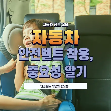 안전벨트 착용, 왜그렇게 중요할까? / 동탄,수원,오산