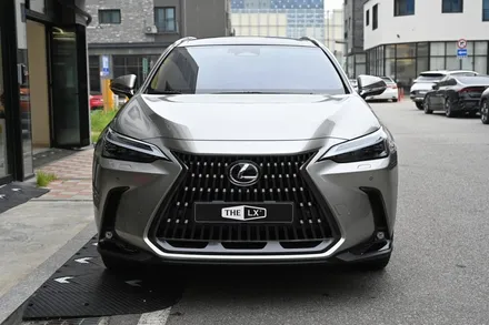 럭셔리 SUV보호 끝판왕, NX350h 다이노쉴드 전체PPF 시공 / 동탄 영천동