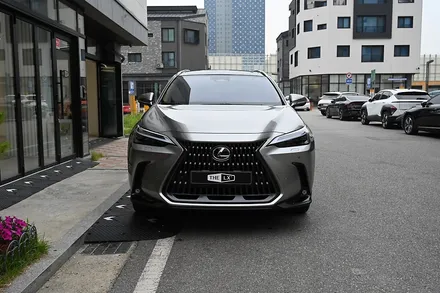 고효율 프리미엄틴팅, NX350h LX 70%+ 퀀텀 조합 추천 / 동탄 영천동