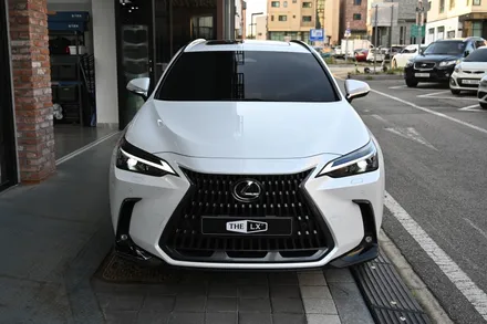 전체PPF로고탈거 없이도 시공이 가능해요? -렉서스 NX350H / 동탄,수원,오산