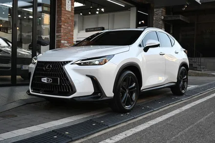전체PPF로고탈거 없이도 시공이 가능해요? -렉서스 NX350H / 동탄,수원,오산