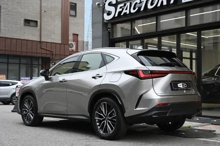 럭셔리 SUV보호 끝판왕, NX350h 다이노쉴드 전체PPF 시공 / 동탄 영천동
