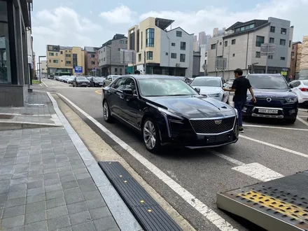 캐딜락 CT6 차콜틴팅으로 신차패키지 선택 잘한 거 같아요~! / 동탄,수원,오산