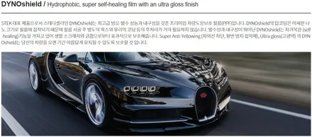 수원PPF 포르쉐 911 카레라4GTS 다이노쉴드 전체PPF / 동탄,수원,오산