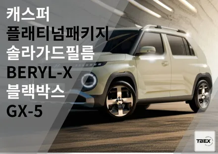 [평택] 티벡스 비전점🌴 / 캐스퍼 열차단 BERYL-X 시공은 이곳에서! / 경기 평택