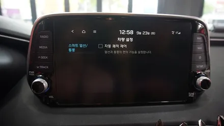 <광주 앰비언트>싼타페 TM 앰비언트 시공