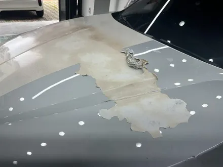 [수원랩핑] bmw x1 본넷 카본랩핑 시공_BMW랩핑 / 수원시 영통구 매탄동